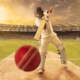 Online Cricket ID