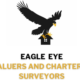 Eagle Eye Surveying