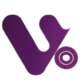 Venus Systems International